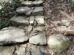 -天目山大树王景区