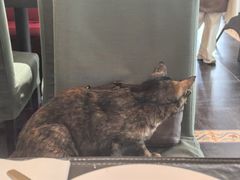 -EATALIA意塔利意式餐厅(鼓楼店)