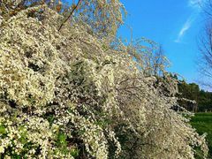 -浙江农林大学(东湖校区)