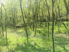 -西湖风景区-江洋畈生态公园