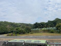 -深圳野生动物园