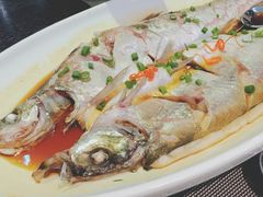 -天宁凯利时尚餐厅