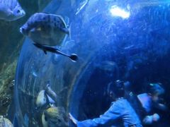 -成都浩海立方海洋公园