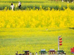 -光明小镇欢乐田园