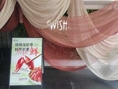 -梧桐