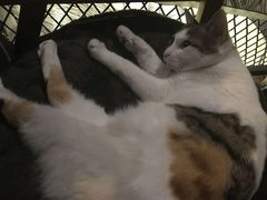 -蜉蝣酒吧(仓山万达店)