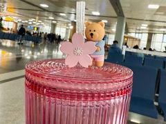 -长沙黄花国际机场-T1航站楼