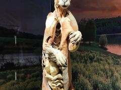 -生命奥秘博物馆