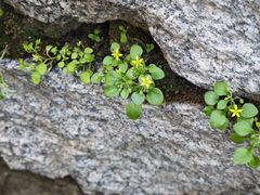 -天津盘山风景名胜区