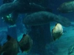 android_upload_pic-河川生态园