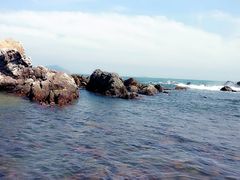 -西涌国际滨海旅游区