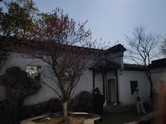 -八大山人梅湖景区