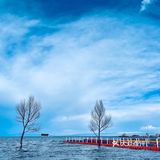 青海湖