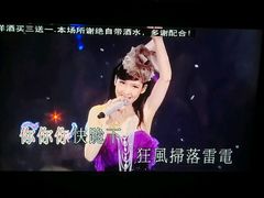 -柏粤汇PARKVIEW KTV(欢乐海岸店)