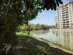 -上海中医药大学附属曙光医院(东部)