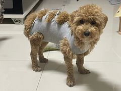 -喵汪萌宠屋旗舰店.洗澡美容.猫狗基地