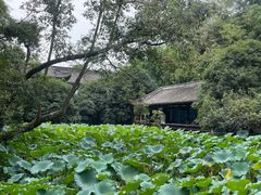 -成都武侯祠博物馆