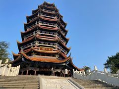 -铁山坪森林公园