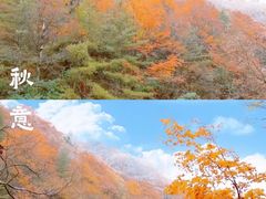 -光雾山旅游景区