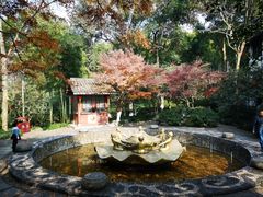 -杭州黄龙洞