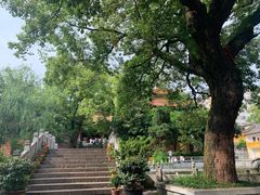 -宝通禅寺