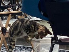-DGE季风钓虾营地·团建·聚会