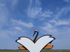 -黑龙江扎龙生态旅游区