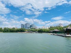 -莲花池公园