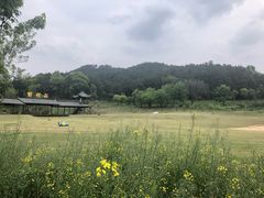 -黄陂区野村谷景区