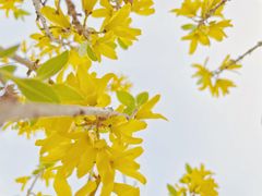 -滆湖低碳生态公园