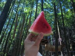 -山王坪喀斯特国家生态公园