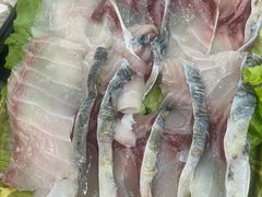 -鸽鸟轩(石岐店)