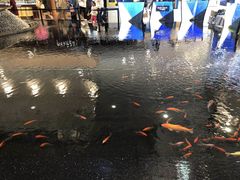 -新世界大丸百货