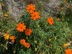 门面-外婆船宴餐厅·外婆喊你回家吃饭