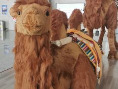 -敦煌莫高国际机场