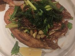 -Aqua Oasis 水天堂(石路天虹店)