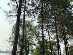 -艾溪湖湿地公园