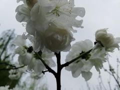 -圩墩遗址公园