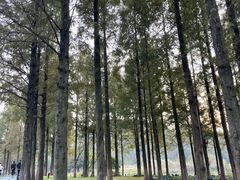 -东钱湖旅游度假区