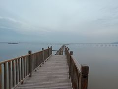 -哈素海