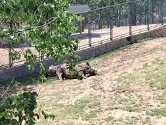 -大连森林动物园