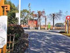 -大莲湖农家乐(青西郊野公园店)