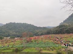 -广州市石门国家森林公园