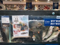 -盒马鲜生(曜一城店)