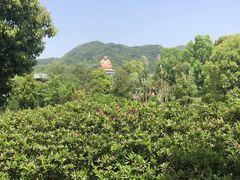 -溪口-滕头旅游景区