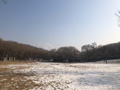 -高尔山公园