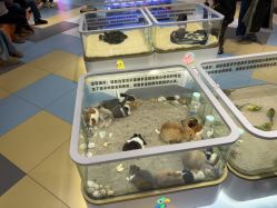 -meland亲子乐园•派对•研学(苏州悠方购物中心店)