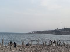 -养马岛旅游度假区