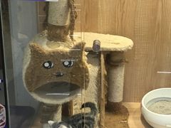 -米卢宠物公园(广华居店)