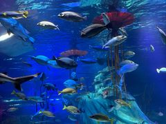 -沈阳海洋探索中心